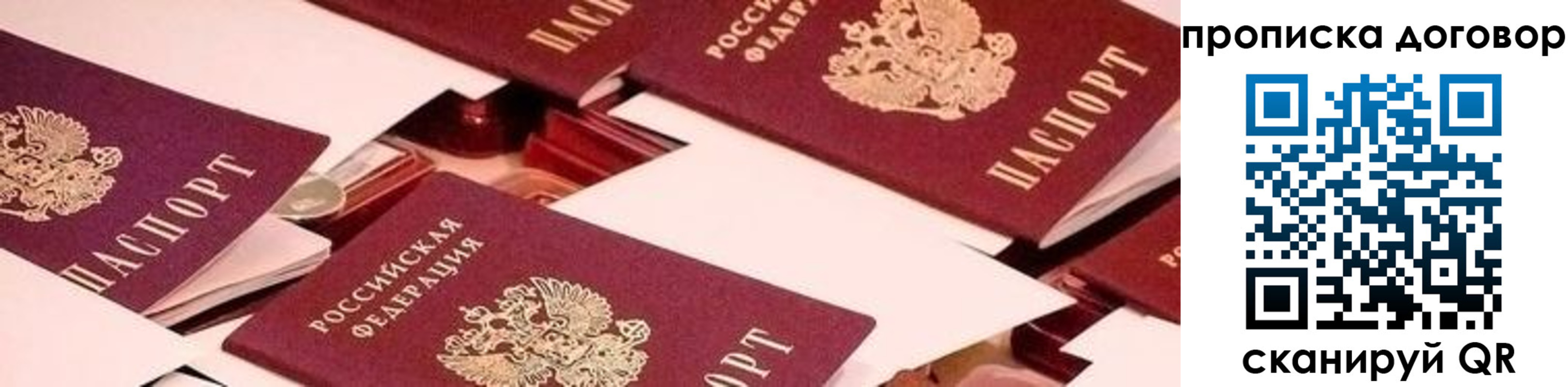 прописка для школы в Губкинском